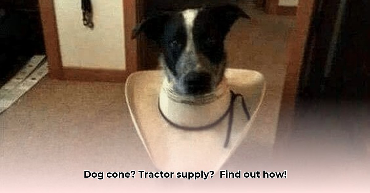 dog-cone-tractor-supply